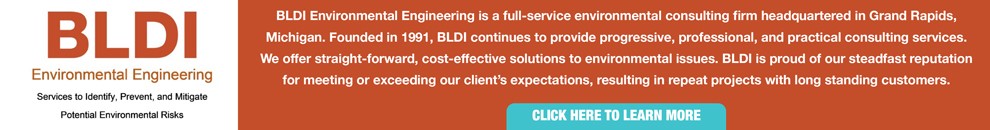 BLDI Environmental Engineering